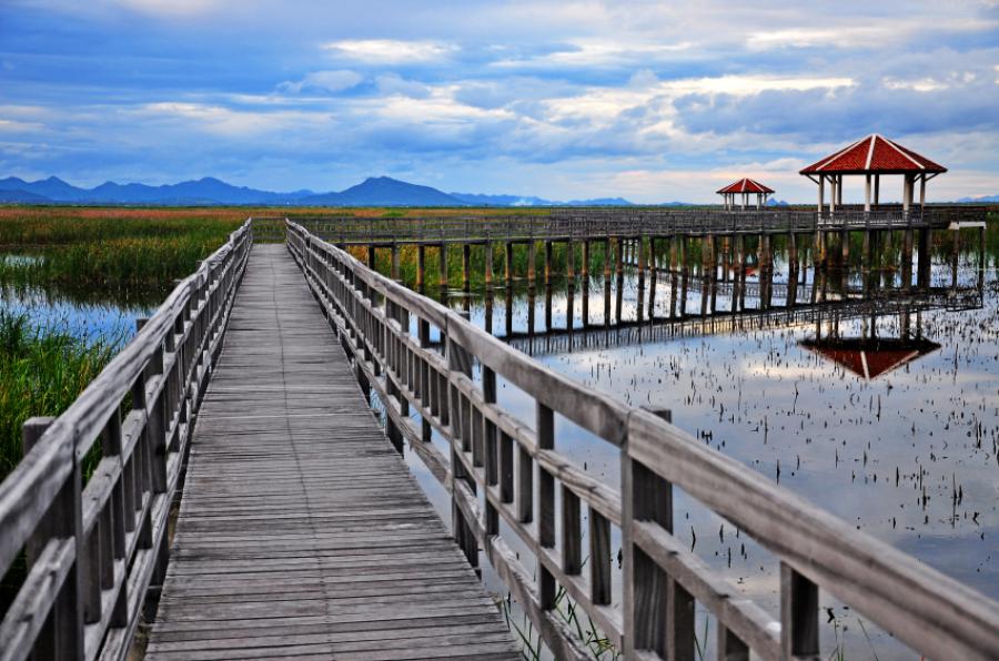 The boardwalk over the freshwater marsh