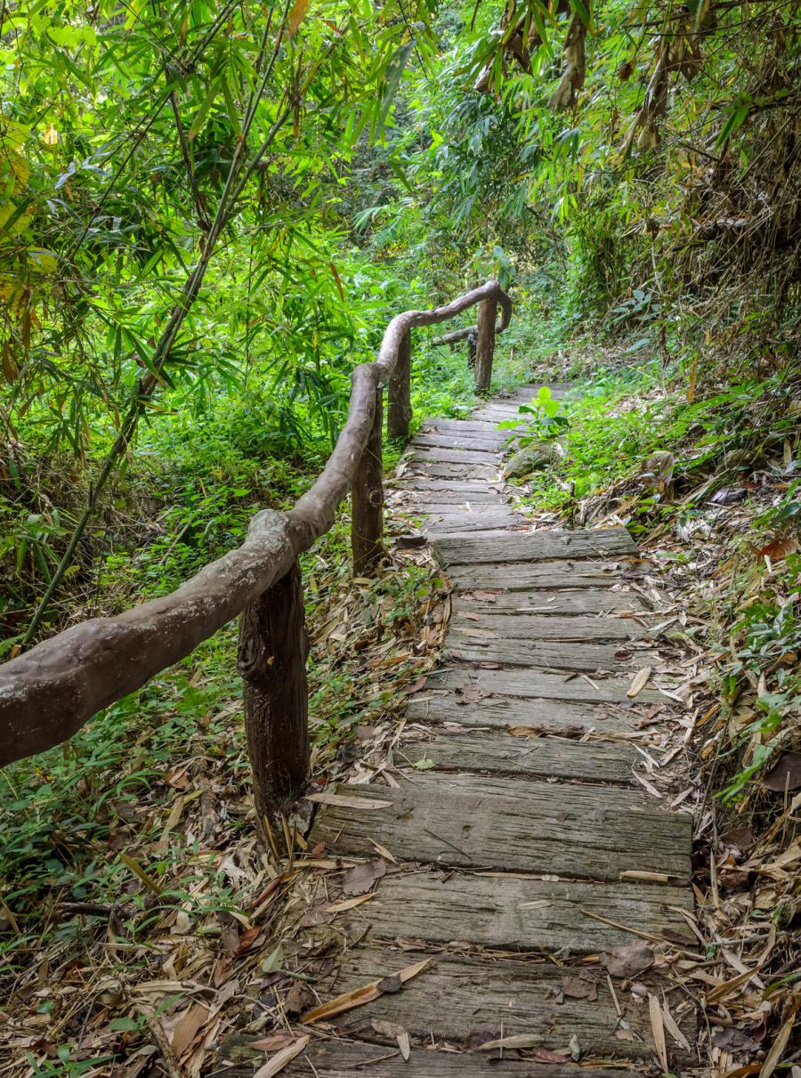 Hiking Doi Suthep-Pui
