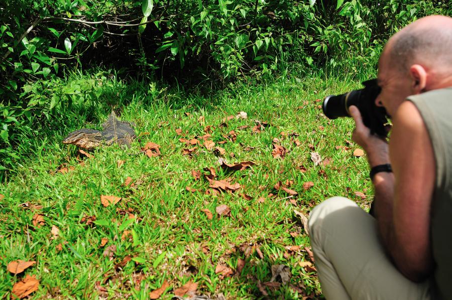 Water monitor