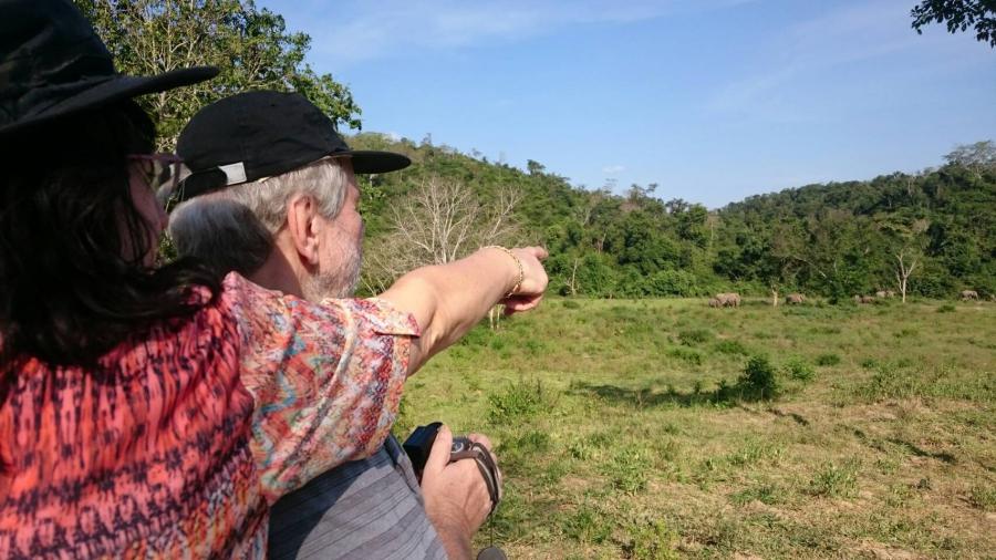Elephant safari