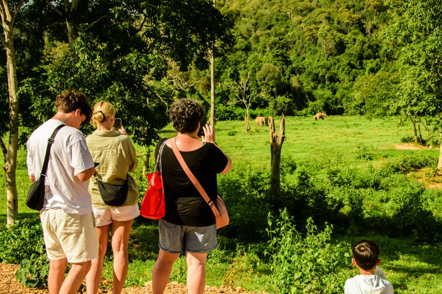 The main viewpoint at the elephant observatory site
