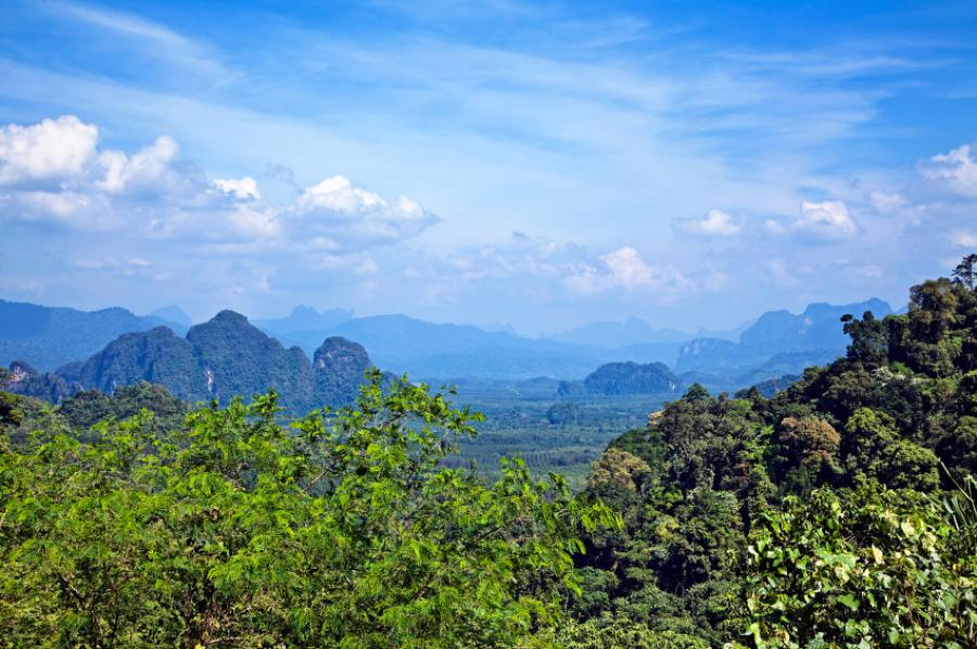 A view from Khao Sok National Park