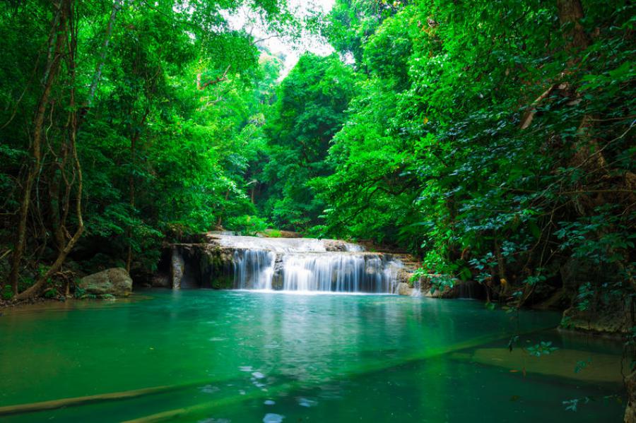 One of many colors of Erawan
