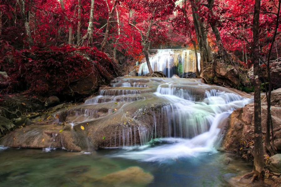 One of many colors of Erawan