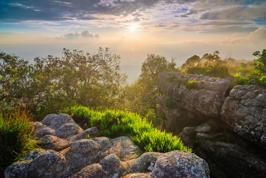 Thai National Parks Phu Hin Rong Kla National Park