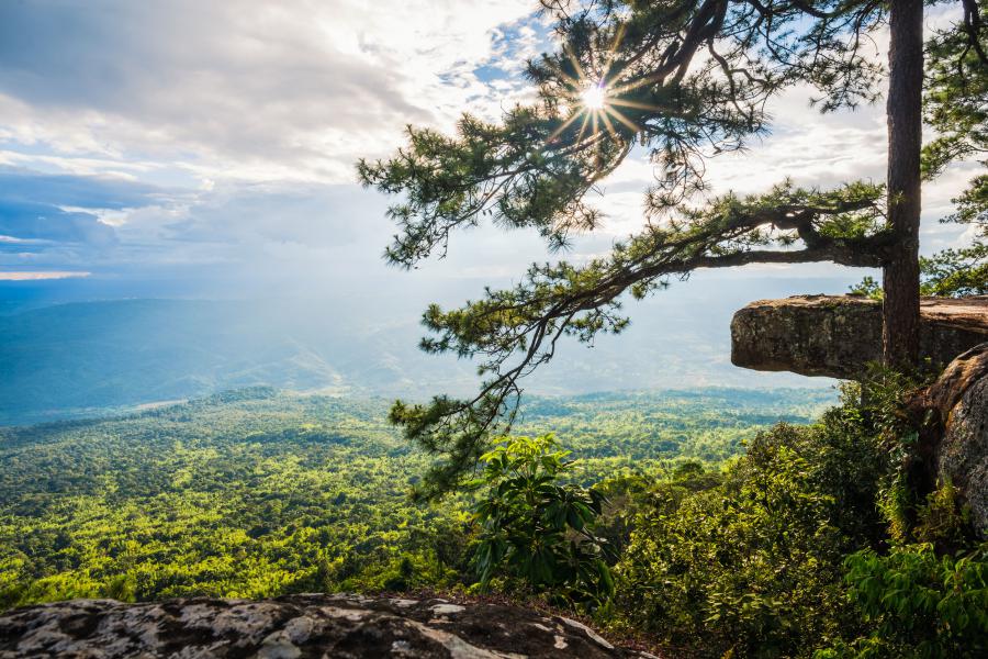 Lom Sak Cliff & Viewpoint in Phu Kradueng National Park
