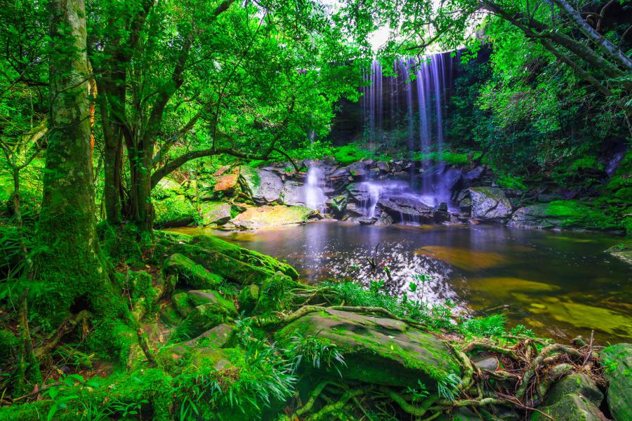 Wang Kwang Waterfall in Phu Kradueng National Park