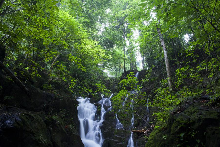 Khao Phra Thaeo Wildlife Sanctuary