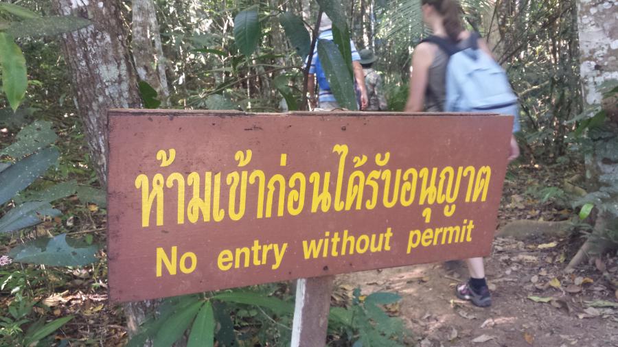 Most trails requires a guide or a ranger to walk, this for a good reason