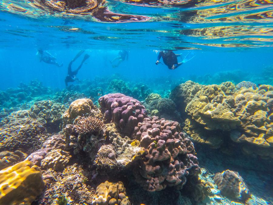 Snorkelling in one of many spots around Surin Islands