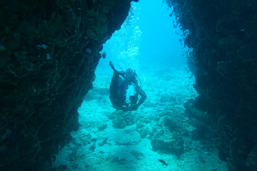 Scuba diving in Ko Lanta coral reefs