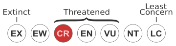 Critically Endangered (IUCN3.1)
