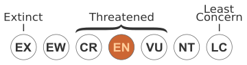 Endangered (IUCN3.1)