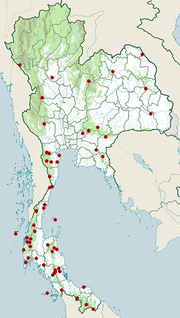 Distribution map of Abbott's babbler, Malacocincla abbotti in Thailand