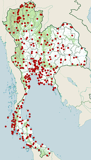 Distribution map of Common myna, Acridotheres tristis in Thailand