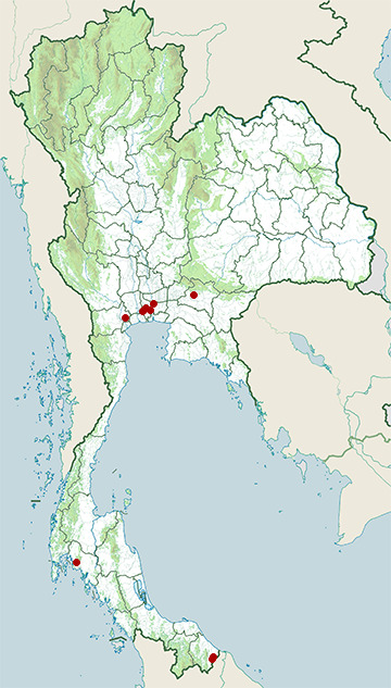 Distribution map of Javan wart snake, Acrochordus javanicus in Thailand