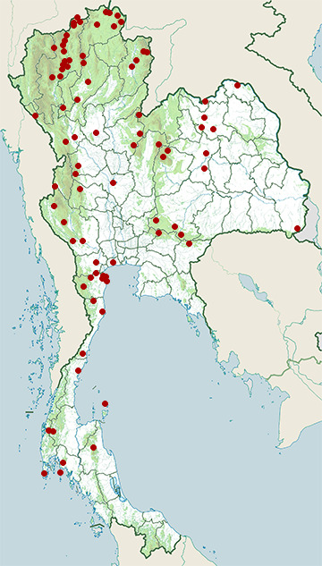 Distribution map of Himalayan swiftlet, Aerodramus brevirostris in Thailand