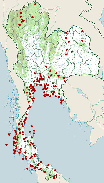 Distribution map of Germain's swiftlet, Aerodramus germani in Thailand