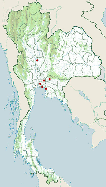 Distribution map of African sacred ibis, Threskiornis aethiopicus in Thailand