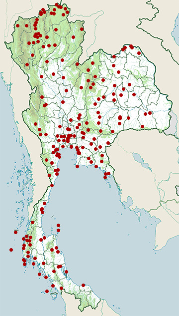 Distribution map of Common kingfisher, Alcedo atthis in Thailand