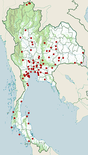 Distribution map of Oriental darter, Anhinga melanogaster in Thailand