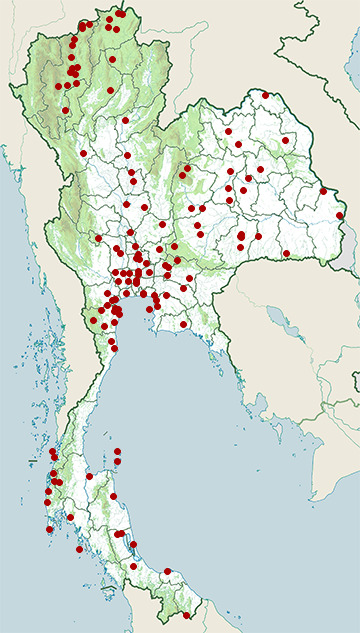 Distribution map of Grey heron, Ardea cinerea in Thailand