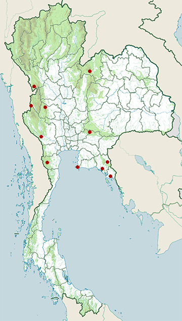 Distribution map of Indochinese blind snake, Argyrophis diardii in Thailand