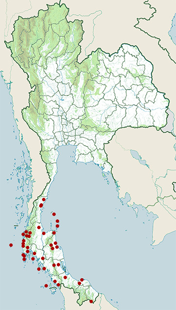 Distribution map of Asian glossy starling, Aplonis panayensis in Thailand