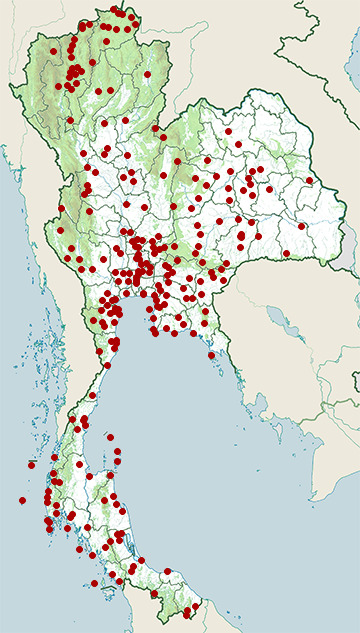 Distribution map of Asian koel, Eudynamys scolopaceus in Thailand
