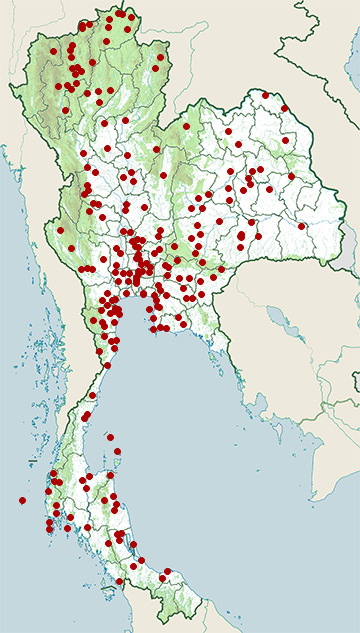 Distribution map of Asian openbill, Anastomus oscitans in Thailand