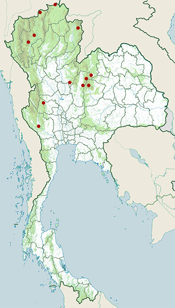 Distribution map of Assam macaque, Macaca assamensis in Thailand