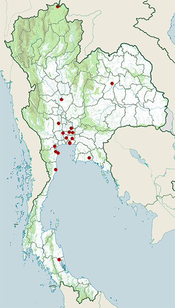 Distribution map of Baillon's crake, Zapornia pusilla in Thailand