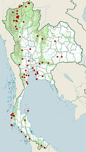 Distribution map of Barred buttonquail, Turnix suscitator in Thailand