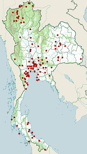 Distribution map of Baya weaver, Ploceus philippinus in Thailand