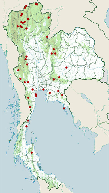 Distribution map of Besra, Accipiter virgatus in Thailand