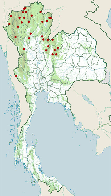 Distribution map of Big-headed turtle, Platysternon megacephalum in Thailand