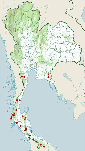 Distribution map of Black-and-yellow broadbill, Eurylaimus ochromalus in Thailand
