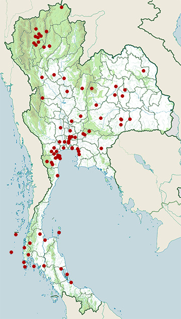 Distribution map of Black bittern, Ixobrychus flavicollis in Thailand