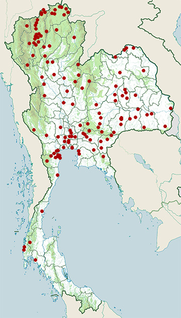 Distribution map of Black-collared myna, Gracupica nigricollis in Thailand