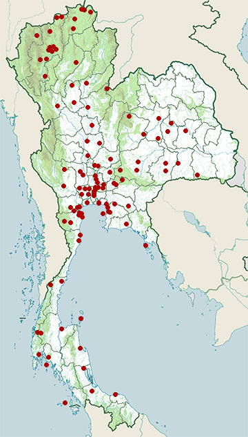 Distribution map of Black-crowned night heron, Nycticorax nycticorax in Thailand