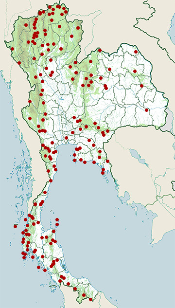 Distribution map of Black-headed bulbul, Brachypodius atriceps in Thailand