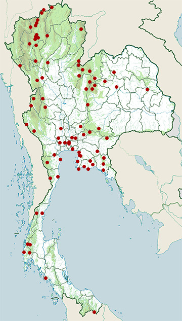 Distribution map of Black-winged cuckooshrike, Lalage melaschistos in Thailand
