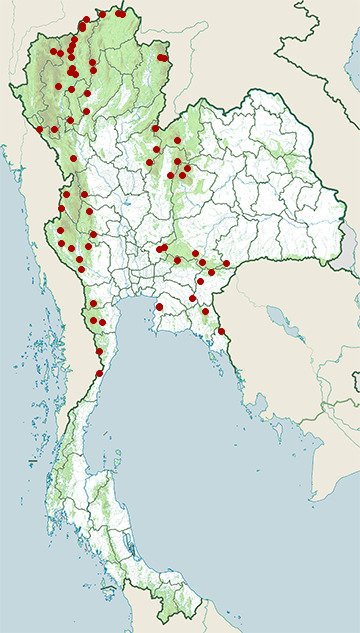 Distribution map of Blue-bearded bee-eater, Nyctyornis athertoni in Thailand
