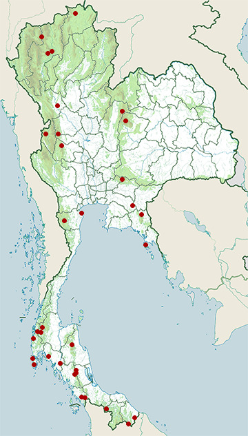 Distribution map of Blue-eared kingfisher, Alcedo meninting in Thailand