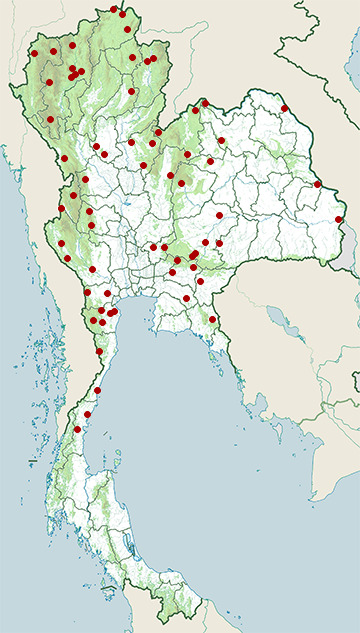 Distribution map of Siamese cat snake, Boiga siamensis in Thailand