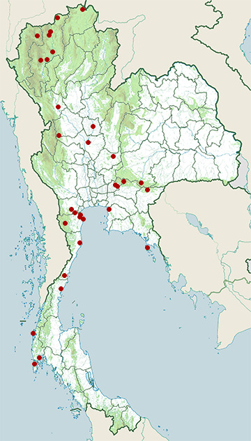 Distribution map of Booted eagle, Hieraaetus pennatus in Thailand