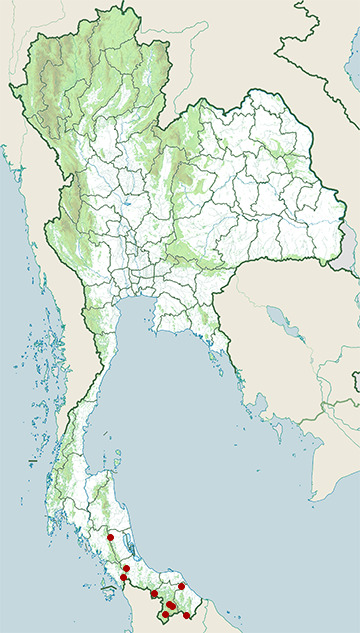 Distribution map of Crested green lizard, Bronchocela cristatella in Thailand