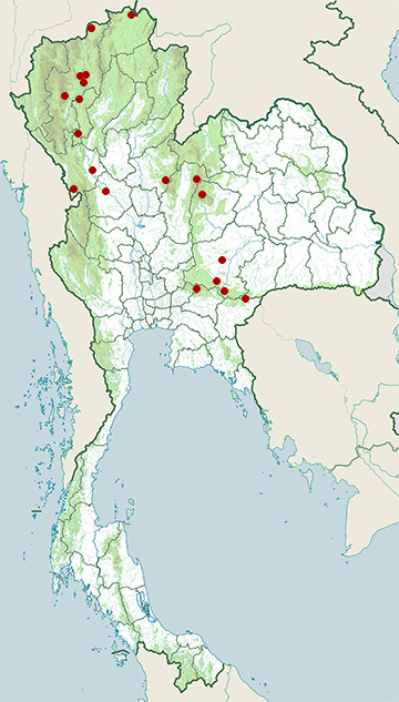 Distribution map of Deignan's prinia, Prinia polychroa in Thailand