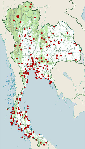 Distribution map of Brown-throated sunbird, Anthreptes malacensis in Thailand