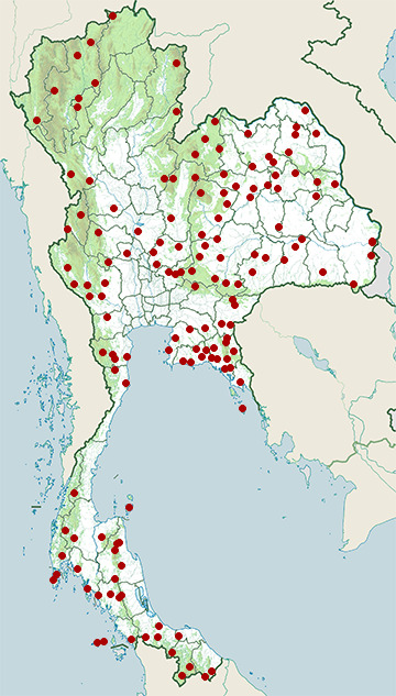 Distribution map of Blue krait, Bungarus candidus in Thailand